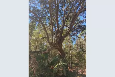 18 Net Weavers Place, Saint Helena Island, SC 29920 - Photo 8