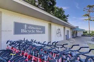 18 Lighthouse Ln, Hilton Head Island, SC 29928 - Photo 48