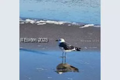 40 Folly Field Road #408, Hilton Head Island, SC 29928 - Photo 64