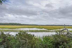 18 Chechessee Cir, Okatie, SC 29909 - Photo 46