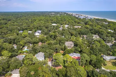 10 Myrtle Lane, Hilton Head Island, SC 29928 - Photo 60