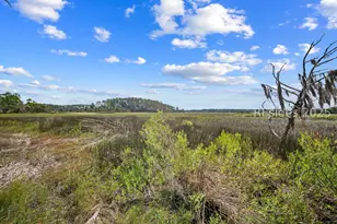 45 Vinel Ln, Bluffton, SC 29910 - Photo 4