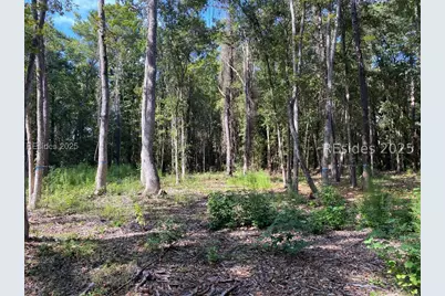 51 Mary Smalls Road, Saint Helena Island, SC 29920 - Photo 1