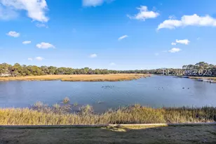 9 Braddock Cv, Hilton Head Island, SC 29928 - Photo 46