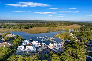9 Braddock Cv, Hilton Head Island, SC 29928 - Photo 54