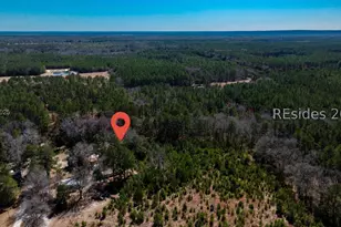 Tbd Firetower Rd, Ridgeland, SC 29936 - Photo 1