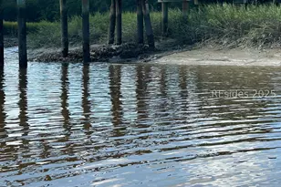 17 Cutter Cir, Bluffton, SC 29909 - Photo 38