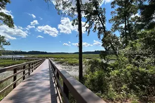 17 Cutter Cir, Bluffton, SC 29909 - Photo 38