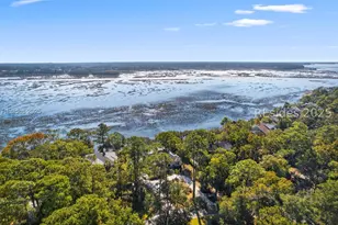 4 Millwright Dr, Hilton Head Island, SC 29926 - Photo 66