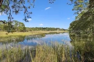 221 Callawassie Dr, Okatie, SC 29909 - Photo 66