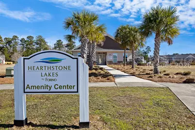 473 Ramport Street, Bluffton, SC 29909 - Photo 38