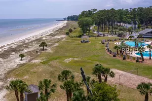 100 Avenue of Oaks, Daufuskie Island, SC 29915 - Photo 64