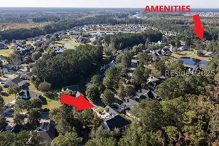 112 Spring Meadow Dr, Bluffton, SC 29910 - Photo 52