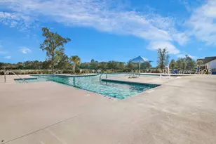 213 Clearwater Walk, Hardeeville, SC 29927 - Photo 94