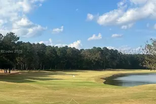 377 Dogwood Ln, Hardeeville, SC 29927 - Photo 64