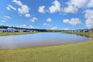 209 Aurora Wy, Hardeeville, SC 29909 - Photo 22