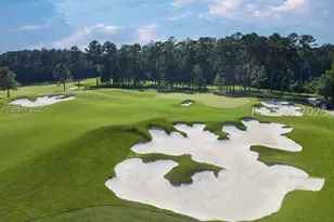 54 Watergrass Ct, Hardeeville, SC 29927 - Photo 14