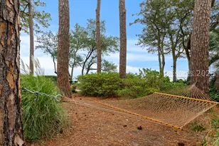 239 Beach City Rd, Hilton Head Island, SC 29926 - Photo 30