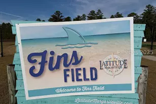 1156 Parrot Ave, Hardeeville, SC 29927 - Photo 64