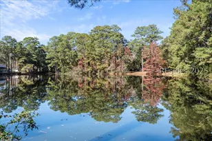 31 Chesterfield Lake Dr, Beaufort, SC 29906 - Photo 34