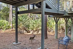 2052 Deer Island Rd, Hilton Head Island, SC 29928 - Photo 38