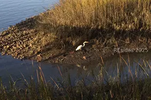 6 Nanny Cove Rd, Bluffton, SC 29910 - Photo 54