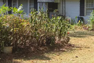 1141 Hodson Dr, Orangeburg, SC 29115 - Photo 2