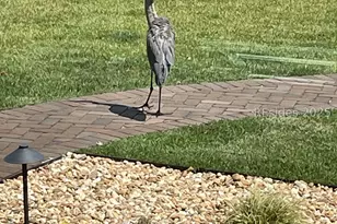 102 Cutter Cir, Bluffton, SC 29909 - Photo 70