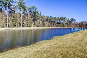 1339 St Somewhere Dr, Hardeeville, SC 29927 - Photo 24