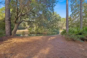 58 Rookery Way, Hilton Head Island, SC 29926 - Photo 66