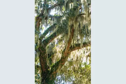210 Old Plantation Drive, Beaufort, SC 29907 - Photo 64