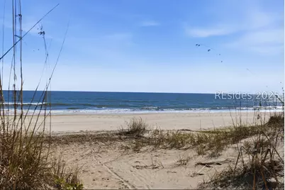 3 Driftwood Lane, Hilton Head Island, SC 29928 - Photo 66