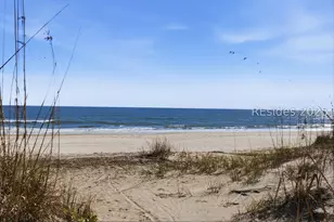 3 Driftwood Ln, Hilton Head Island, SC 29928 - Photo 66