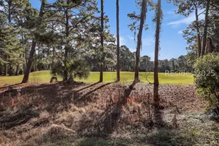 34 Cypress Marsh Dr, Hilton Head Island, SC 29926 - Photo 50