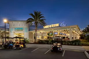 441 Summertime Pl, Hardeeville, SC 29927 - Photo 54