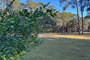 3 Welcome Breeze Ct, Daufuskie Island, SC 29915 - Photo 28