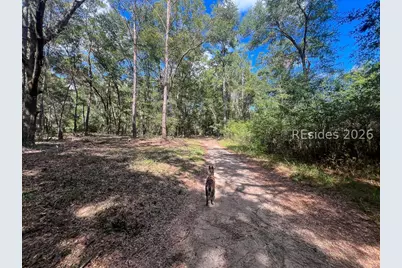 1 Rodeo Drive, Daufuskie Island, SC 29915 - Photo 6