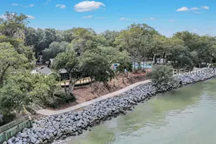 7 Brown Thrasher Rd, Hilton Head Island, SC 29926 - Photo 64