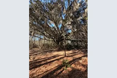 1007 May River Road, Bluffton, SC 29910 - Photo 1
