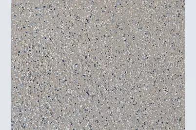 726 Caribbean Soul Avenue, Hardeeville, SC 29927 - Photo 72