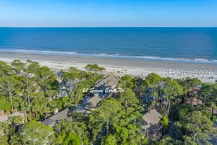 22 Snowy Egret Rd, Hilton Head Island, SC 29928 - Photo 100
