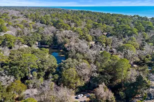 69 Night Heron Ln, Hilton Head Island, SC 29928 - Photo 32