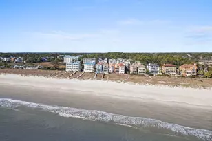 16 Whelk St, Hilton Head Island, SC 29928 - Photo 70