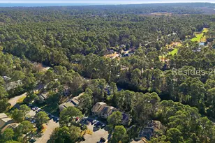 53 Delander Ct, Hilton Head Island, SC 29928 - Photo 36