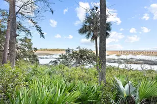 248 Spring Island Dr, Okatie, SC 29909 - Photo 20