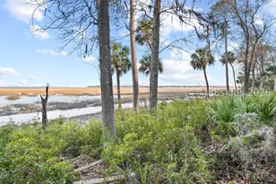 248 Spring Island Dr, Okatie, SC 29909 - Photo 86