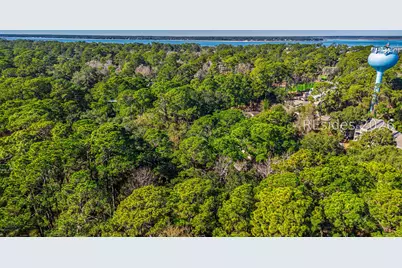 79 Lighthouse Road #2399, Hilton Head Island, SC 29928 - Photo 38