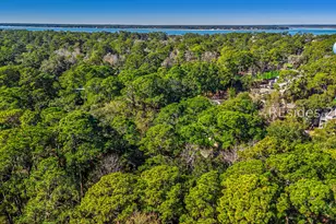 79 Lighthouse Rd, Hilton Head Island, SC 29928 - Photo 38