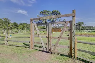 19 Newhall Rd, Hilton Head Island, SC 29928 - Photo 46