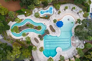 2 Fish Hawk, Hilton Head Island, SC 29926 - Photo 68